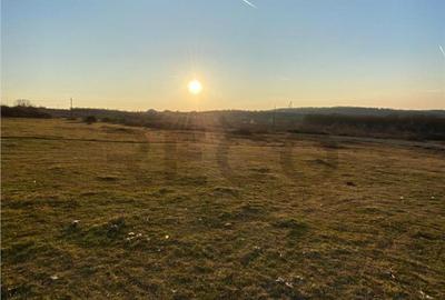 RECO Teren intravilan in Saldabagiu De Munte 2000mp RECO Teren intravilan in Saldabagiu De Munte 2000mp - 2