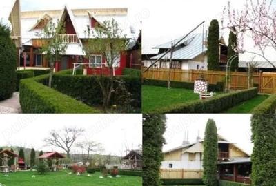 Casă cu 6 camere cu Teren 3500 Mp în Brebu - 3