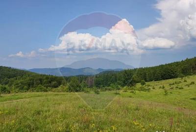 Teren de 128948 mp, în Munteni - 10