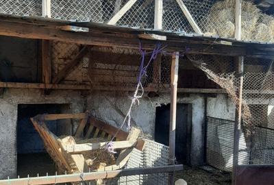 Buzau Glodeanu Sili?tea sat COTORCA, casa batraneasca caramida 3465m - 10