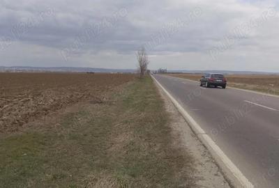 Teren de 8040 mp, în Central - 6