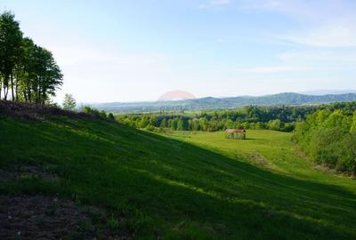 Teren Construcții intravilan de 15000 mp, în Sud-Vest - 5