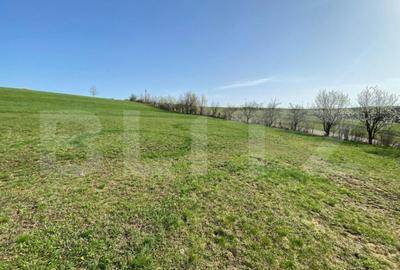 Casa cu 10000mp de teren in Buza, la 50 km de Cluj-Napoca - 4