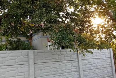 Casă cu 5 camere cu Teren 1948 Mp în Central - 7