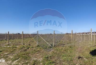 Teren de 2500 mp, în Agigea - 5