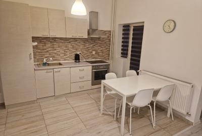 Peste drum de promenada râului Bega-cu vedere deschisa spre Parcul Catedralei - 5