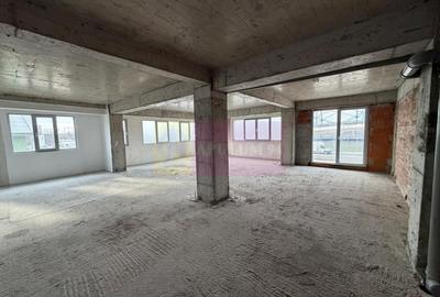 Proprietate specială, de 800 mp, în Theodor Pallady - 32