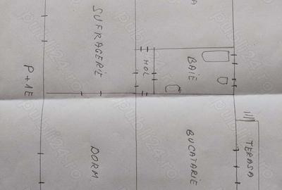 Casa mare de vanzare in Calea Sagului - 4