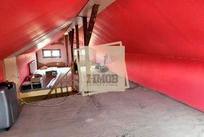 Casă cu 10 camere cu Teren 1195 Mp în Roșia - 11