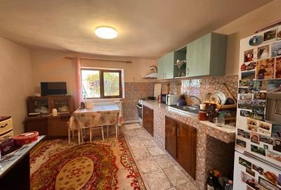 Casa in centrul Cobadinului - 18