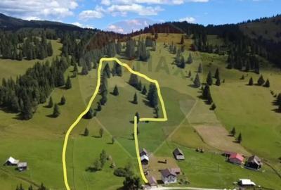 Teren de 14318 mp, în Paltin - 7