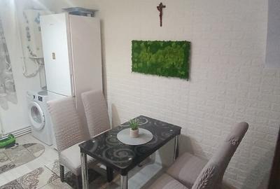 Apartament cu 2 camere semidecomandat în Cetate - 7