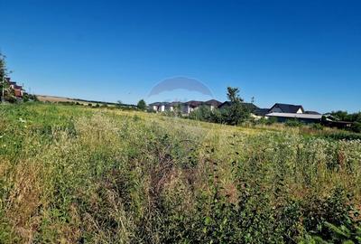 Teren 3.538 mp - Zona in Dezvoltare, Piatra Neamt - 1