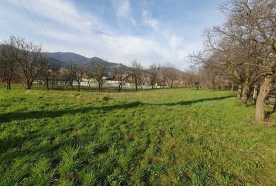 Teren de 1800 mp, în Viișoara - 3