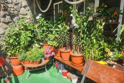 Vila de vacanta de vanzare in Busteni - Zona Zamora - 50