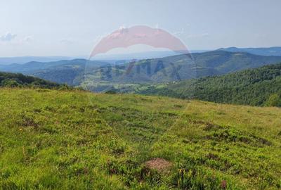 Teren agricol extravilan de 128948 mp, în Munteni - 11