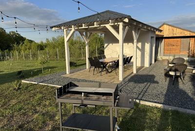 Spațiu comercial, în Șura Mică - 3