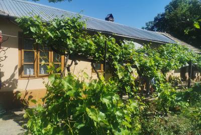 Casă cu 4 camere în Stănești - 7