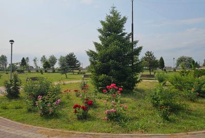 Teren Construcții intravilan de 5465 mp, în Topraisar - 19