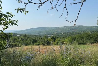 Teren de 4200 mp, în Tomești