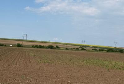 Teren de 27000 mp, în Săucești - 3