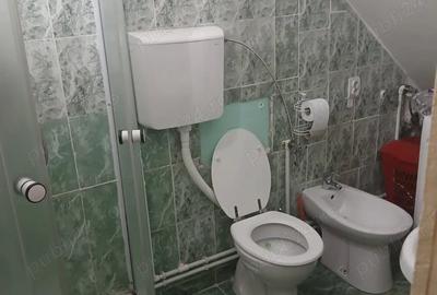 Casă cu 2 camere cu Teren 110 Mp în Săvârșin - 2