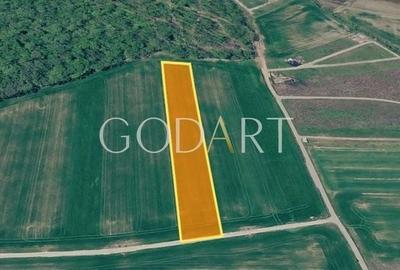 Spațiu comercial, în Ciolpani