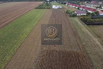 Teren Construcții intravilan de 12000 mp, în Moara Vlăsiei - 1