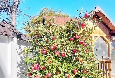 Casă individuală cu 5 camere cu Teren 425 Mp în Florilor - 8