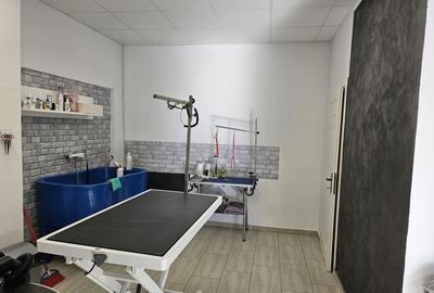 Spațiu comercial, de 57 mp, în Central - 6