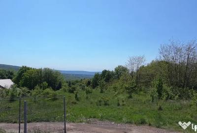 Teren de 850 mp, în Pietrărie - 4