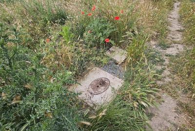 Teren de 1500 mp, în Valu lui Traian - 9