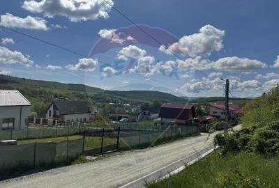 Teren Construcții intravilan de 2307 mp, în Sălicea - 7