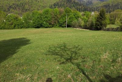 Spațiu comercial, în Putna - 6