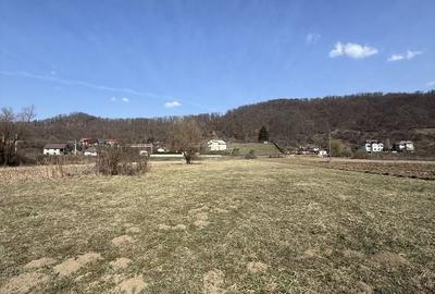 Teren de 6000 mp, în Bizușa-Băi