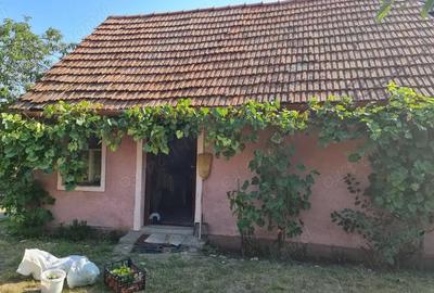 Casă cu 2 camere cu Teren 334 Mp în Vinerea - 6