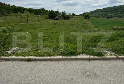 Teren de 2900 mp, în Central