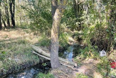 Teren de 5000 mp, în Valea Părului - 9