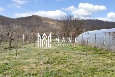 Casă individuală cu 3 camere cu Canalizare în Axente Sever - 18