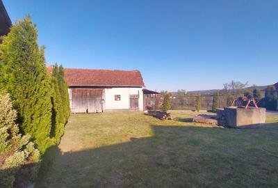 Casă individuală cu 2 camere cu Teren 2980 Mp în Panticeu - 11