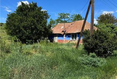 Casă cu 1 camere cu Teren 500 Mp în Straja (Cojocna) - 3