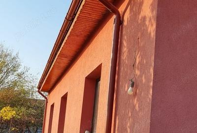 Casă cu 2 camere cu Teren 1000 Mp în Central