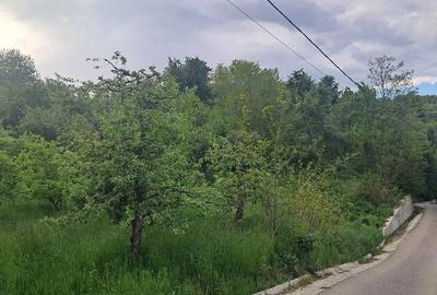 Teren de 4034 mp, în Văleni-Dâmbovița - 4