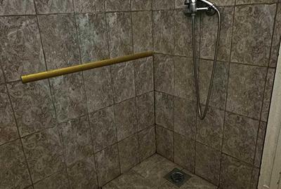 Casă cu 2 camere în Borș - 3