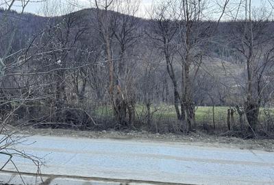Teren de 1046 mp, în Rășinari - 2