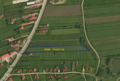 Teren Construcții intravilan de 7580 mp, în Albota - 2