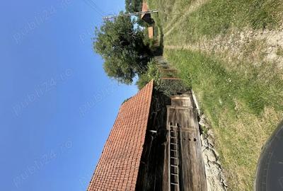 Casă cu 3 camere în Baldovin - 3