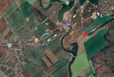 Teren agricol intravilan de 17900 mp, în Răcari - 2