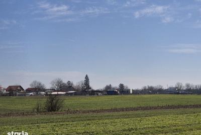 Teren de 1663 mp, în Ulmi - 17