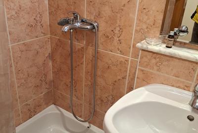 Garsonieră decomandată în Ultracentral - 5